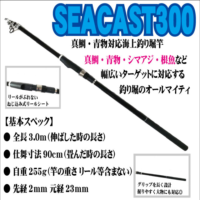 安い 新品 つり具ten 海上釣り堀入門 完全セット Peライン付 竿 リール 糸 仕掛け 他 全8点セット Pe糸巻き済 釣り入門 超特価セール Iacymperu Org